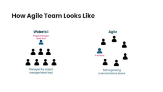 How Agile Team Looks Like
 