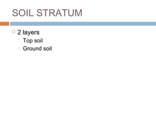 SOIL STRATUM


2 layers



Top soil
Ground soil

 
