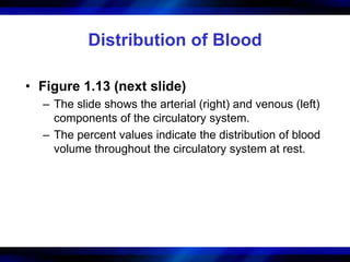 Chapter 1 structure and function of the muscular, neuromuscular ...