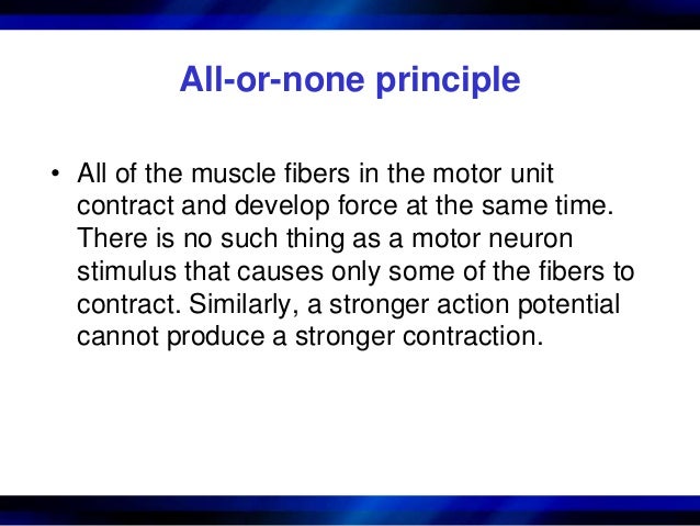 Chapter 1 structure and function of the muscular