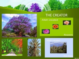 THE CREATOR
 