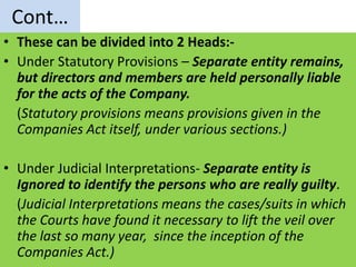 Chapter 1- The Company. SIR.pptx