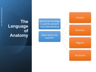 CHAPTER 1-THE HUMAN BODY-AN ORIENTATION.pptx