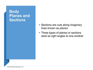 CHAPTER 1-THE HUMAN BODY-AN ORIENTATION.pptx