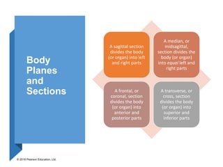 CHAPTER 1-THE HUMAN BODY-AN ORIENTATION.pptx