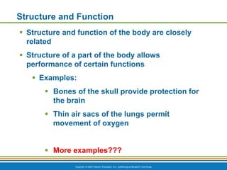 Chapter 1 - The Human Body An Orientation.pdf