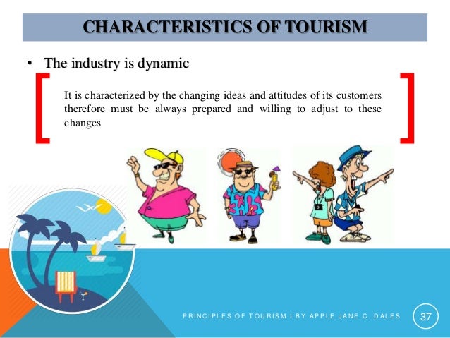 visitors meaning in tourism
