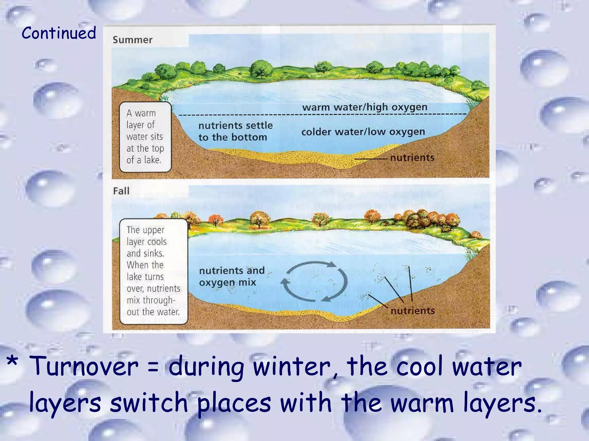 Continued Turnover = during winter, the cool water layers switch places with the warm layers. 