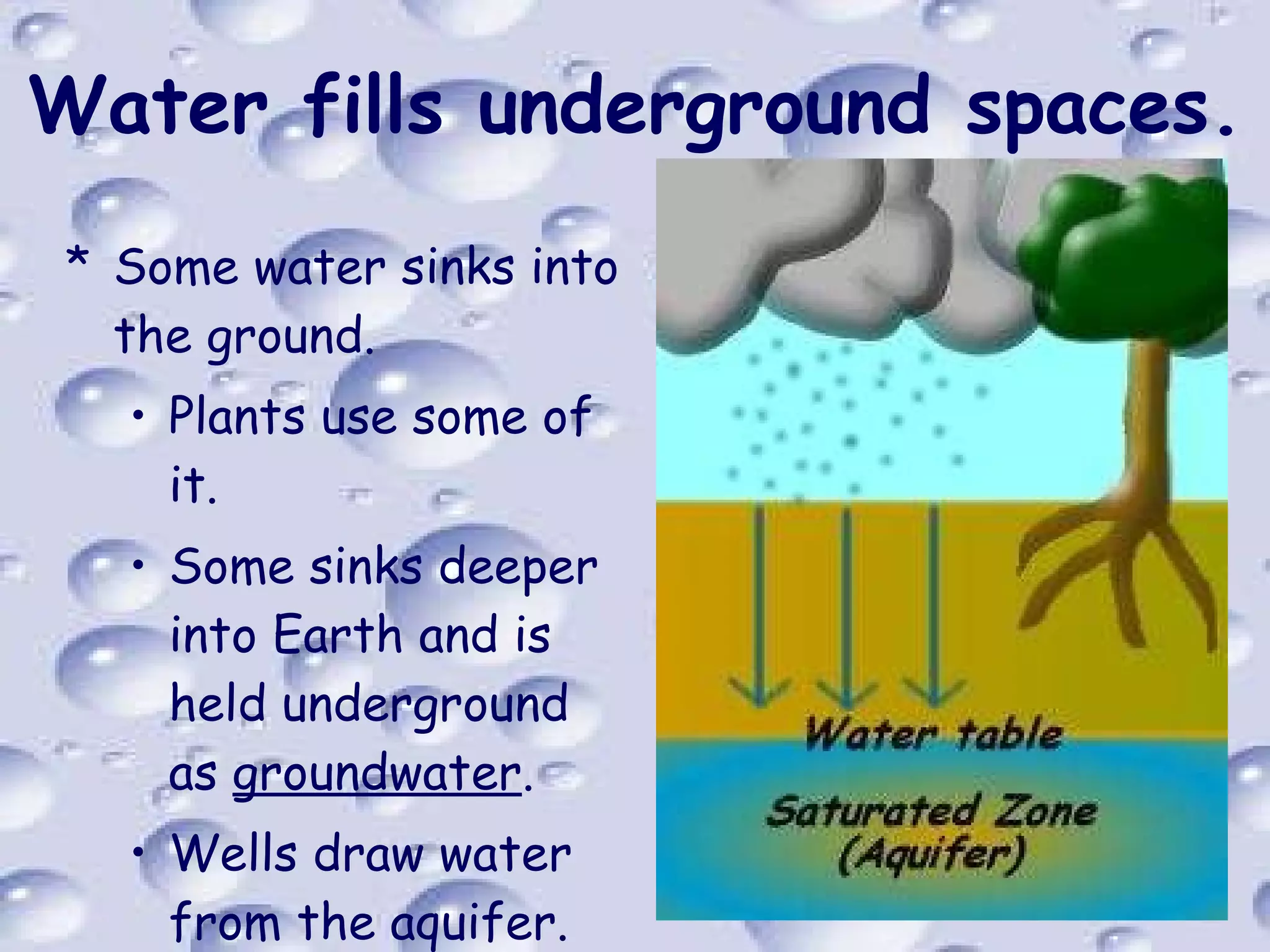 Water fills underground spaces. Some water sinks into the ground. Plants use some of it. Some sinks deeper into Earth and is held underground as  groundwater . Wells draw water from the aquifer. 