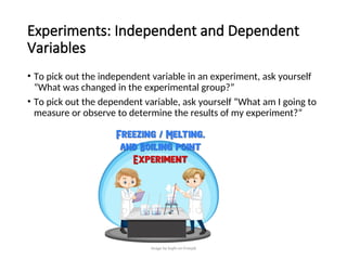Science Fair Project Introduction Example Independent Variable The Scientific Process Presentation Biology | PPT