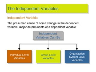 The Independent Variables
Independent
Variables Can Be
Individual-Level
Variables
Organization
System-Level
Variables
Group-Level
Variables
Independent Variable
The presumed cause of some change in the dependent
variable; major determinants of a dependent variable
 