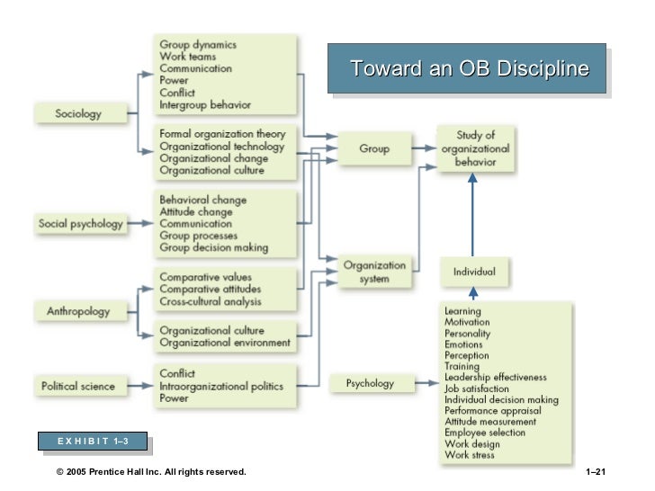 Chapter 1 what is organizational behaviour