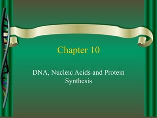 Chapter 10 DNA, Nucleic Acids and Protein Synthesis 