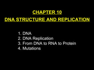 CHAPTER 10 DNA STRUCTURE AND REPLICATION ,[object Object],[object Object],[object Object]