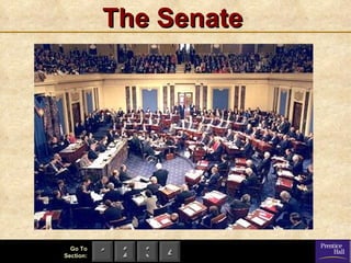 The Senate 
