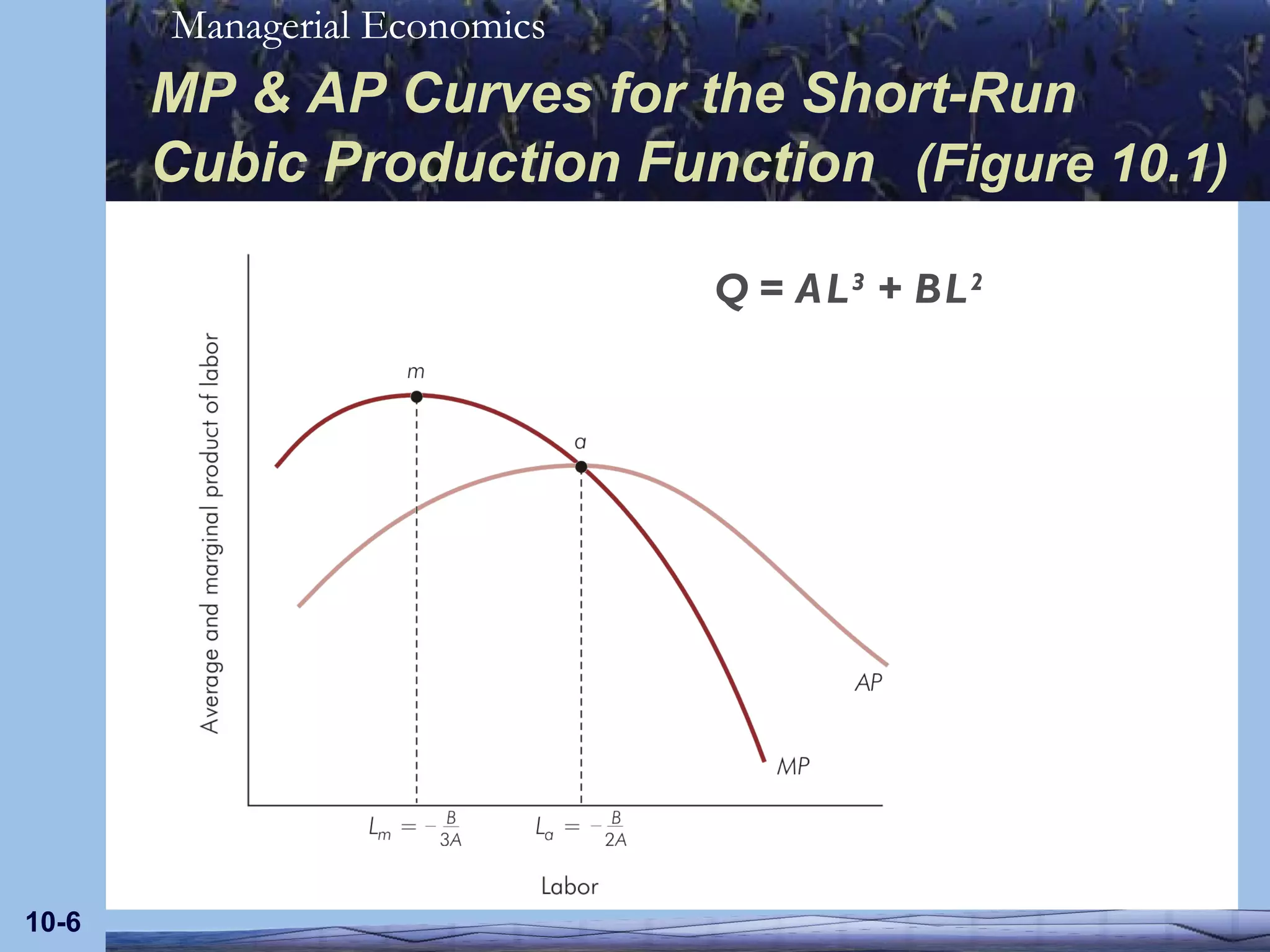 MP & AP Curves for the Short-Run Cubic Production Function   (Figure 10.1) 10- Q = AL 3  + BL 2 