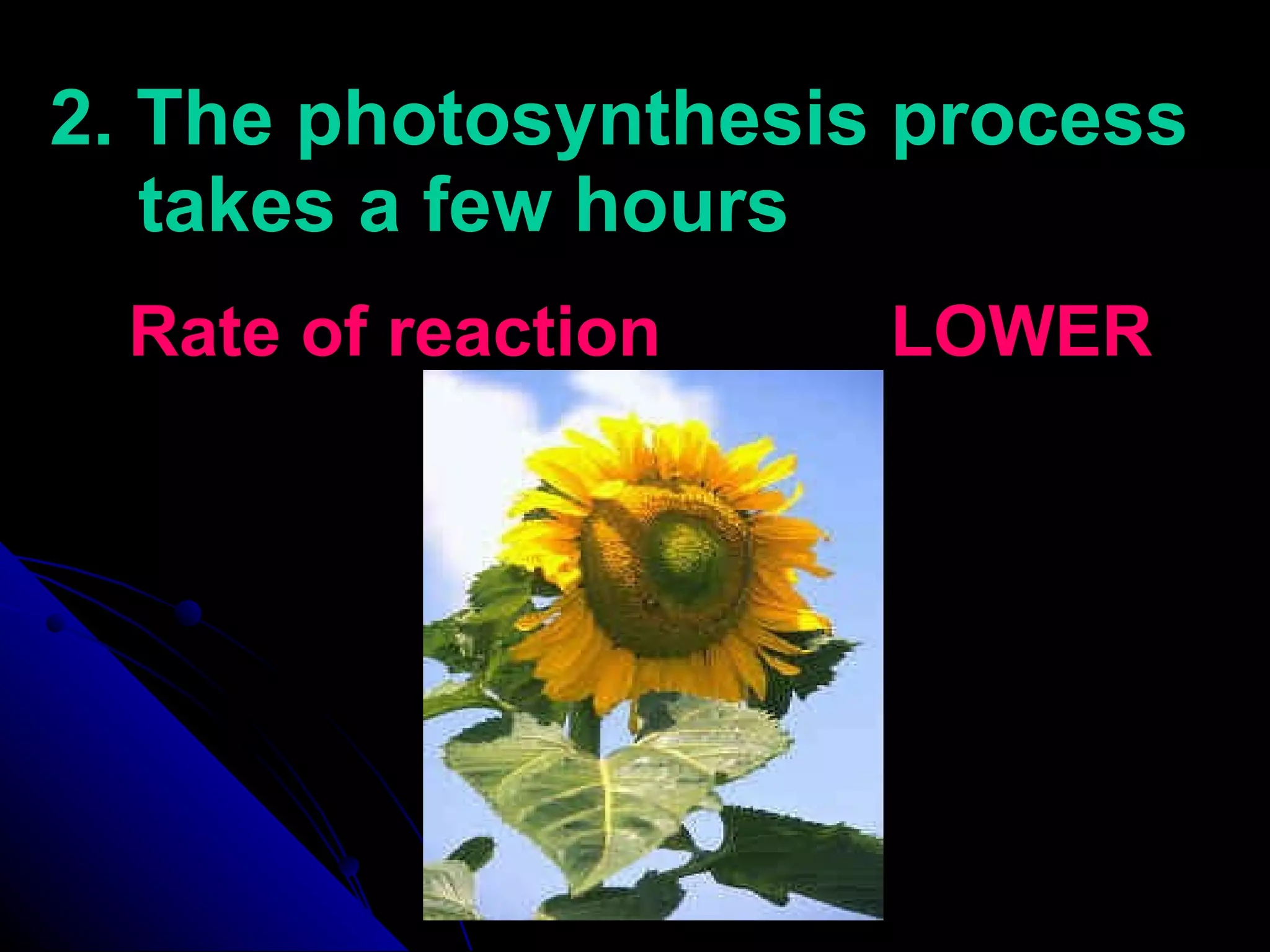2. The photosynthesis process takes a few hours Rate of reaction  LOWER 