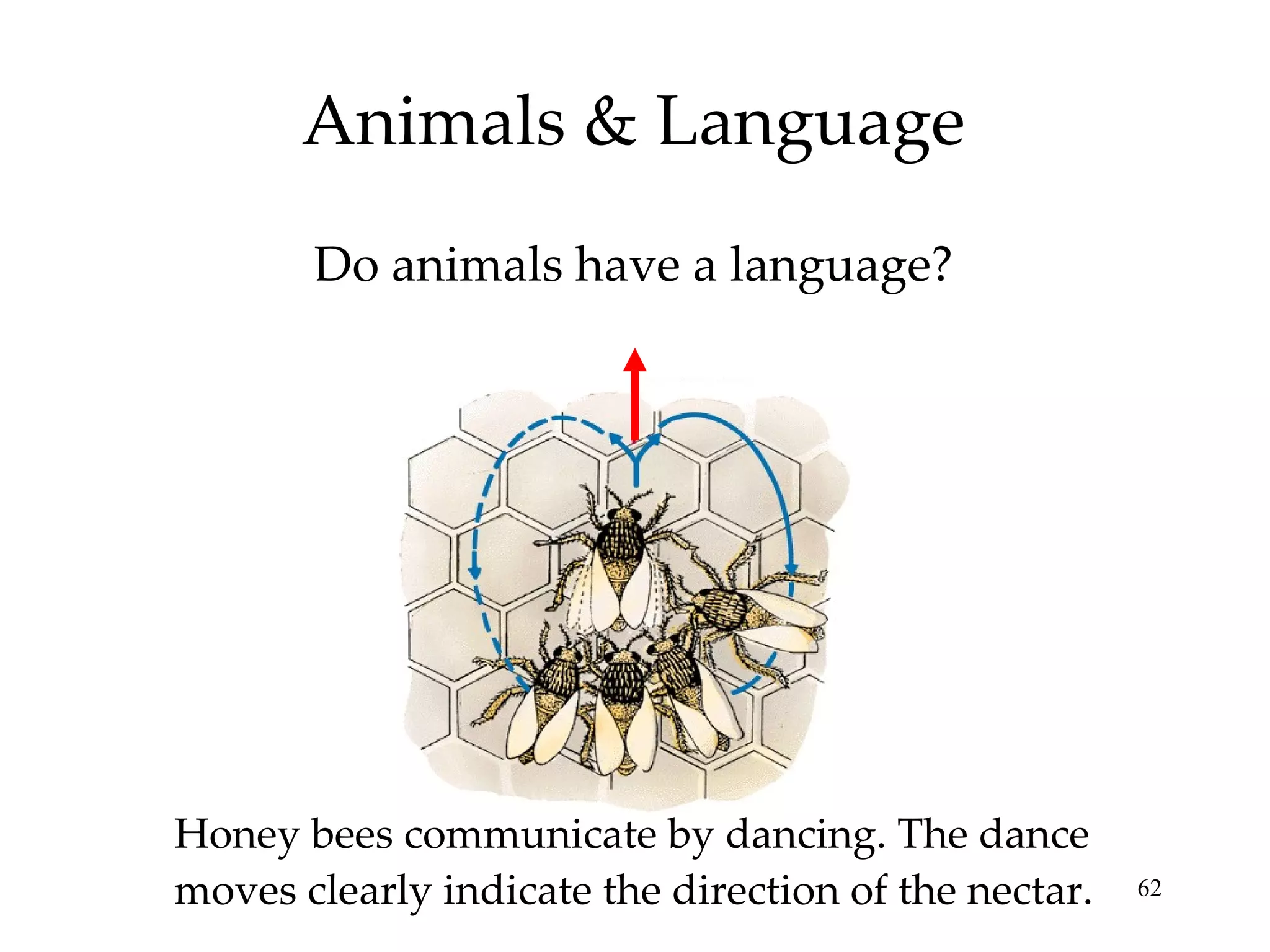 Do animals have a language? Animals & Language Honey bees communicate by dancing. The dance moves clearly indicate the direction of the nectar. 