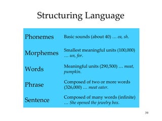 Structuring Language Phrase Sentence Meaningful units (290,500) …  meat, pumpkin. Words Smallest meaningful units (100,000) …  un, for . Morphemes Basic sounds (about 40) …  ea, sh . Phonemes Composed of two or more words (326,000) …  meat eater. Composed of many words (infinite) …  She opened the jewelry box. 