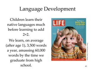 Language Development Children learn their native languages much before learning to add 2+2. We learn, on average (after age 1), 3,500 words a year, amassing 60,000 words by the time we graduate from high school. Time Life Pictures/ Getty Images 