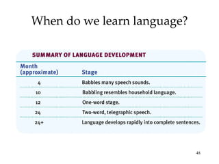 When do we learn language? 