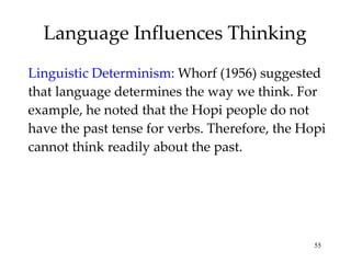 Language Influences Thinking Linguistic Determinism:   Whorf (1956) suggested that language determines the way we think. For example, he noted that the Hopi people do not have the past tense for verbs. Therefore, the Hopi cannot think readily about the past. 