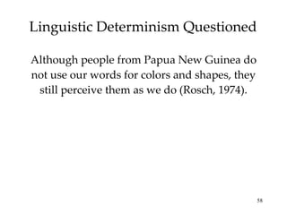 Linguistic Determinism Questioned Although people from Papua New Guinea do not use our words for colors and shapes, they still perceive them as we do (Rosch, 1974). 