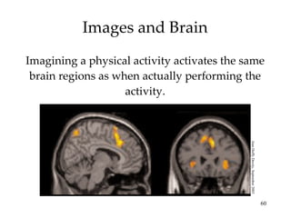 Images and Brain Imagining a physical activity activates the same brain regions as when actually performing the activity. Jean Duffy Decety, September 2003 