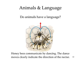 Do animals have a language? Animals & Language Honey bees communicate by dancing. The dance moves clearly indicate the direction of the nectar. 