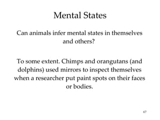 Mental States Can animals infer mental states in themselves and others?  To some extent. Chimps and orangutans (and dolphins) used mirrors to inspect themselves when a researcher put paint spots on their faces or bodies. 