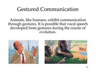 Gestured Communication Animals, like humans, exhibit communication through gestures. It is possible that vocal speech developed from gestures during the course of evolution. 