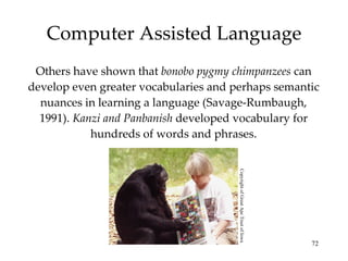 Computer Assisted Language Others have shown that  bonobo pygmy chimpanzees  can develop even greater vocabularies and perhaps semantic nuances in learning a language (Savage-Rumbaugh, 1991).  Kanzi and Panbanish  developed vocabulary for hundreds of words and phrases. Copyright of Great Ape Trust of Iowa 