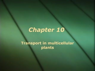 Chapter 10

Transport in multicellular
         plants
 