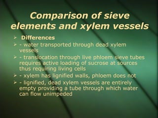 Comparison of sieve
elements and xylem vessels
 Differences
 - water transported through dead xylem
  vessels
 - translocation through live phloem sieve tubes
  requires active loading of sucrose at sources
  thus requiring living cells
 - xylem has lignified walls, phloem does not
 - lignified, dead xylem vessels are entirely
  empty providing a tube through which water
  can flow unimpeded
 