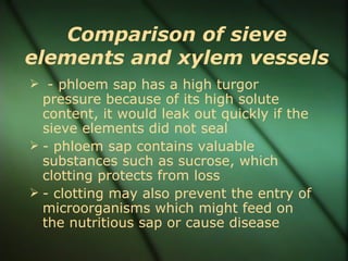 Comparison of sieve
elements and xylem vessels
 - phloem sap has a high turgor
  pressure because of its high solute
  content, it would leak out quickly if the
  sieve elements did not seal
 - phloem sap contains valuable
  substances such as sucrose, which
  clotting protects from loss
 - clotting may also prevent the entry of
  microorganisms which might feed on
  the nutritious sap or cause disease
 