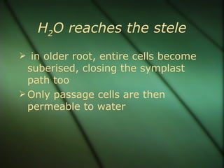H2O reaches the stele
 in older root, entire cells become
  suberised, closing the symplast
  path too
 Only passage cells are then
  permeable to water
 