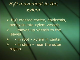 H2O movement in the
       xylem

 H2O crossed cortex, epidermis,
  pericycle into xylem vessels
    - moves up vessels to the
  leaves
    - in root - xylem in center
    - in stem – near the outer
  region
 