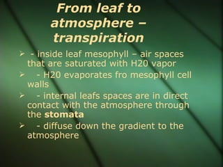 From leaf to
       atmosphere –
       transpiration
 - inside leaf mesophyll – air spaces
 that are saturated with H20 vapor
 - H20 evaporates fro mesophyll cell
 walls
 - internal leafs spaces are in direct
 contact with the atmosphere through
 the stomata
 - diffuse down the gradient to the
 atmosphere
 