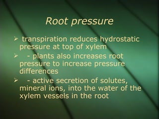 Root pressure
 transpiration reduces hydrostatic
 pressure at top of xylem
 - plants also increases root
 pressure to increase pressure
 differences
 - active secretion of solutes,
 mineral ions, into the water of the
 xylem vessels in the root
 