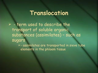 Translocation
 - term used to describe the
 transport of soluble organic
 substances (assimilates) – such as
 sugars
     - assimilates are transported in sieve tube
     elements in the phloem tissue
 
