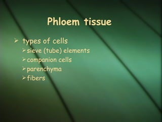 Phloem tissue
 types of cells
   sieve (tube) elements
   companion cells
   parenchyma
   fibers
 