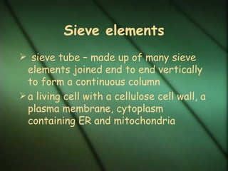 Sieve elements
 sieve tube – made up of many sieve
  elements joined end to end vertically
  to form a continuous column
 a living cell with a cellulose cell wall, a
  plasma membrane, cytoplasm
  containing ER and mitochondria
 