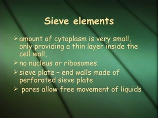 Sieve elements
 amount of cytoplasm is very small,
  only providing a thin layer inside the
  cell wall,
 no nucleus or ribosomes
 sieve plate – end walls made of
  perforated sieve plate
 pores allow free movement of liquids
 