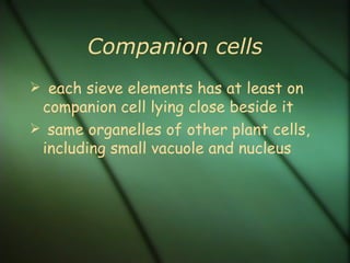 Companion cells
 each sieve elements has at least on
 companion cell lying close beside it
 same organelles of other plant cells,
 including small vacuole and nucleus
 