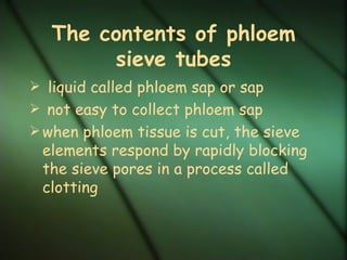 The contents of phloem
        sieve tubes
 liquid called phloem sap or sap
 not easy to collect phloem sap
 when phloem tissue is cut, the sieve
 elements respond by rapidly blocking
 the sieve pores in a process called
 clotting
 