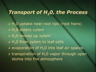 Transport of H20, the Process

 H20 uptake near root tips (root hairs)
 H20 enters xylem
 H20 moves up xylem
 H20 from xylem to leaf cells
 evaporation of H20 into leaf air spaces
 transpiration of H20 vapor through open
 stoma into the atmosphere
 
