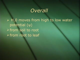 Overall
 H20 moves from high to low water
  potential (ψ)
 from soil to root
 from root to leaf
 