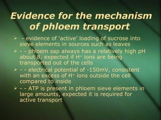Evidence for the mechanism
    of phloem transport
 - evidence of ‘active’ loading of sucrose into
  sieve elements in sources such as leaves
 - - phloem sap always has a relatively high pH
  about 8, expected if H+ ions are being
  transported out of the cells
 - - electrical potential of -150mV, consistent
  with an excess of H+ ions outside the cell
  compared to inside
 - - ATP is present in phloem sieve elements in
  large amounts, expected it is required for
  active transport
 