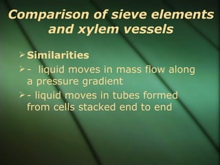 Comparison of sieve elements
    and xylem vessels
  Similarities
  - liquid moves in mass flow along
   a pressure gradient
  - liquid moves in tubes formed
   from cells stacked end to end
 
