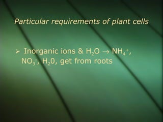 Particular requirements of plant cells



 Inorganic ions & H2O → NH4+,
 NO3-, H20, get from roots
 